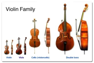 biola-vs-violin-satu-instrumen-dua-jiwa-yang-berbeda