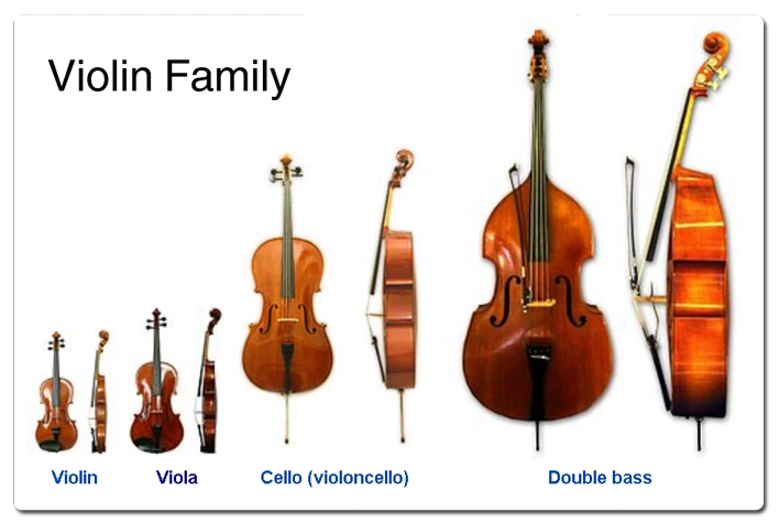 biola-vs-violin-satu-instrumen-dua-jiwa-yang-berbeda