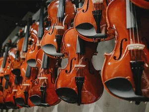 biola-vs-violin-satu-instrumen-dua-jiwa-yang-berbeda